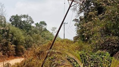 Perawatan Jaringan PLN Dipertanyakan