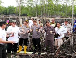 Kapolres Langkat Tanam Mangrove