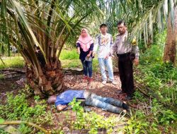 Anak Temukan Ayah Tewas Telungkup di Kebun