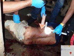 Maha Putra Tarigan Tewas Di Warung Tuak