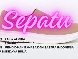 Sepatu