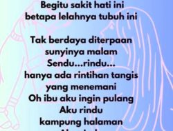Tak Tau Arah