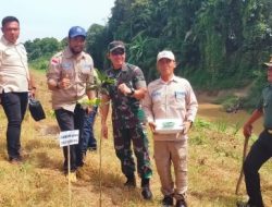 Mapel Indonesia Dan Dandim 0204/DS Tanam Pohon di DAS Sei Belumai 