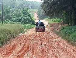 Jalan Provinsi di Kecamatan Air Upas Bagai Kubangan Kerbau     