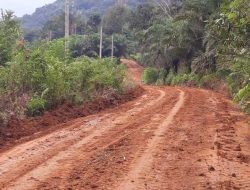 Tiang Listrik Jalan Licin