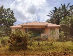 Polindes Desa Kalimas Baru tak Terurus