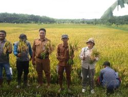 Kelompok Tani Cilosari Berharap Perhatian Pemerintah  