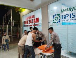 Warga Sei Lepan Diterkam Harimau 