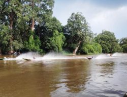 Balap Perahu Meriahkan Idul Fitri di Manis Mata