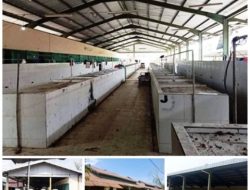 Pasar Rangga Sentap Terbengkalai