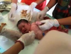 Bayi Ditemukan di Kebun Sawit