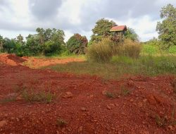 Silingan Diantara Zona Satu Dan “Anak Tiri”