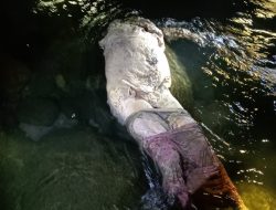 Warga Temukan Mr X di Sungai Buaya Bangun Purba