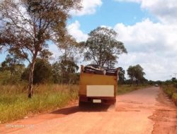 Diduga Truk Bermuatan BBM Ilegal   