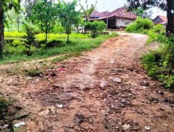 Jalan Desa Belum Pernah Diaspal