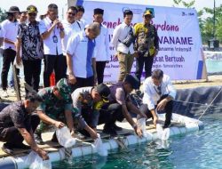 Faisal Hasrimy Resmikan Klaster Budidaya Udang Vaname  