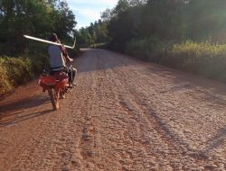 Kejar Produksi Menarik Arco Memanggul Egrek