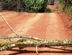 Habis Portal Terbitlah Pekerjaan