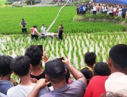 KAI “Sorong” Mobil Masuk Sawah, 6 Tewas 1 Kritis