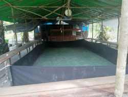 Kebun Kelapa Sawit Diduga Lokasi Judi di Lamandau 