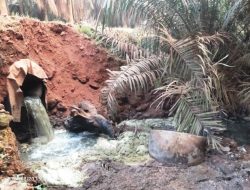 Limbah Menganaksungai Cemari Ratu Elok Manis Mata