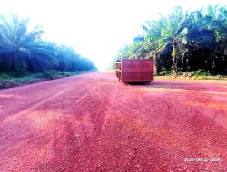 Bak Dum Truk Pengangkut Sawit Parkir di Jalan Raya