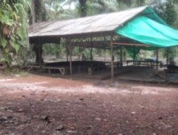 Diduga Sabung Ayam Suka Harapan Kendawangan Dibeking Oknum Aparat