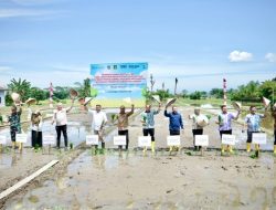 Sekda Amril Dorong Sinergi dalam Ketahanan Pangan di Desa Sidomulyo