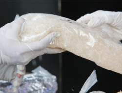 Jual BB Sabu 1 Kg 3 Perwira Polresta Barelang Dipecat