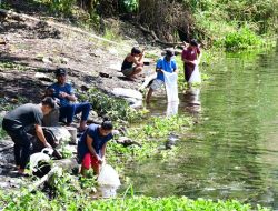 Ratusan Ribu Bibit Ikan Ditabur di Desa Boho dan Siboro