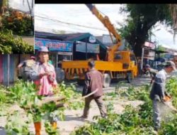 Dinas SDABMBK UPT Wilayah Satu Deli Serdang Pangkas Pohon Rimbun 