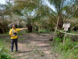 Portal Dibuka, Masyarakat Sungai Buluh : Lahan Itu Milik Jajir !