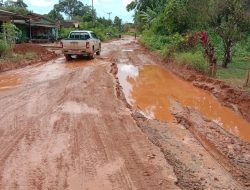 Pembiaran Jalan Rusak di Kabupaten Ketapang