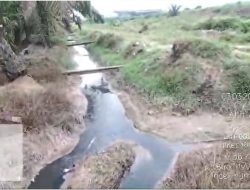 Sungai Jelai Tercemar Diduga Kucuran Limbah PKS PT USP
