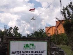 Bendera Robek Berkibar di Halaman PT Mitra Saudara Lestari Ketapang