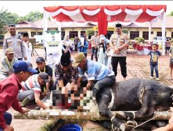 Kapolres Langkat Serahkan 12 Sapi dan 5 Kambing Kurban Idul Adha 1446 H