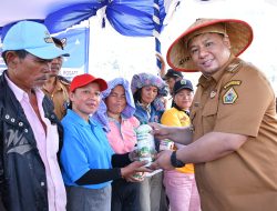 Pemkab Samosir Gelar Tanam Padi Bersama Dan “Festival Manuan Eme” 