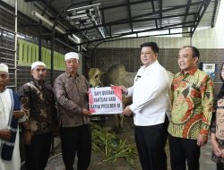 Bupati dan Wakil Bupati Samosir Serahkan Hewan Kurban  