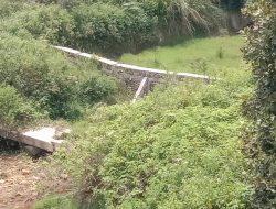 Proyek Kolam Ikan Desa Siandorandor Terbengkalai  