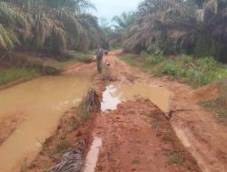 Jalan Desa Ratu Elok – Desa Sungai Buluh Bagai Kubangan Kerbau