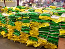 Tekan Inflasi Samosir Gelar GPM