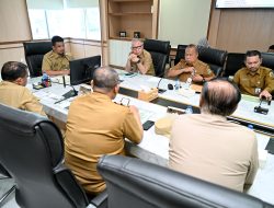 Lahan Kebun Jeruk Aktif di Karo Tinggal 4.841 Ha