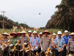 Kapolres Ketapang Pimpin Panen Jagung di Kecamatan Kendawangan