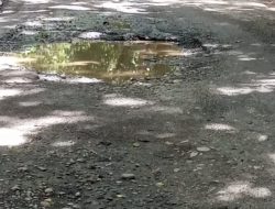 Angkutan Sawit Bebas Lintas Jalan Secanggang – Stabat Hancur