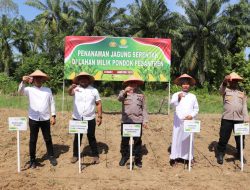 Dukung Program Ketahanan Pangan Nasional, Polres Langkat Tanam Jagung Serentak