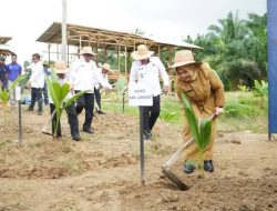 Pemkab Langkat Dukung  Asta Cita Tanam 360.000 Kelapa