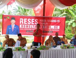 Romelta Ginting Diminta Normalisasi Sungai dan Pembuatan Tanggul  