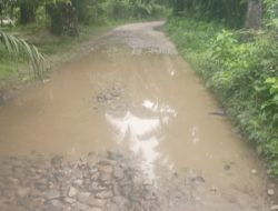 Ruas Jalan Desa Gunung Manaon Kecamatan Portibi Rusak