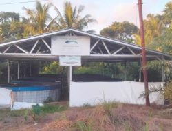 Proyek Dirjen Perikanan Budidaya Terlantar di Ketapang