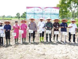 Bupati Langkat Dukung Penanaman Jagung Serentak Kuartal IV  